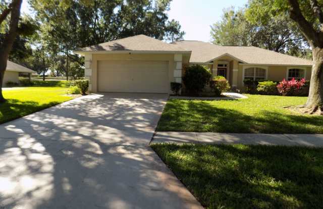 BEAUTIFUL 3 BEDROOM SINGLE FAMILY HOME IN GREEN VALLEY IN CLERMONT - 14720 Green Valley Boulevard, Lake County, FL 34711 BEAUTIFUL 3 BEDROOM SINGLE FAMILY HOME IN GREEN VALLEY IN CLERMONT - 14720 Green Valley Boulevard, Lake County, FL 34711
