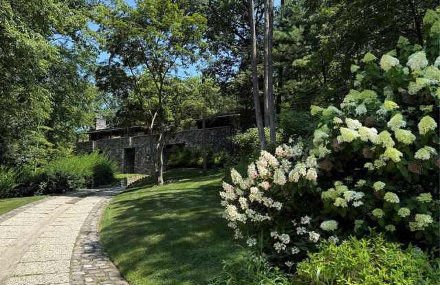 53 Woods photos photos