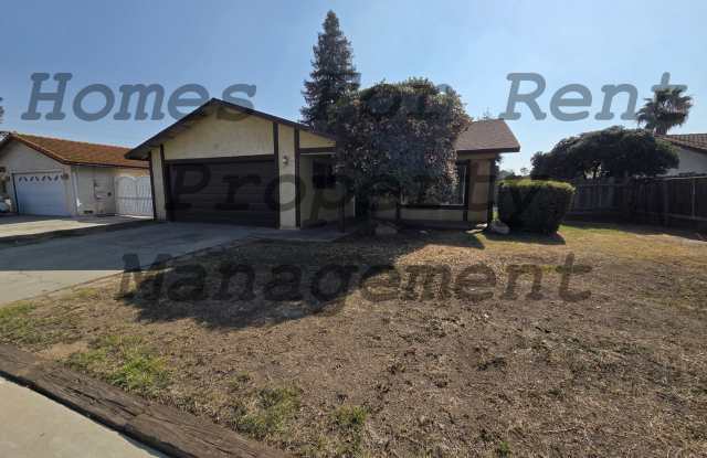 Large 3 Bedroom 2 Bath Home in Great Neighborhood Gallery 1