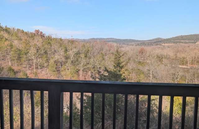 Walk-In Level 3 Bedroom, 2 Bath Condo in The Vineyards! - 2954 Vinyards Parkway, Branson, MO 65616