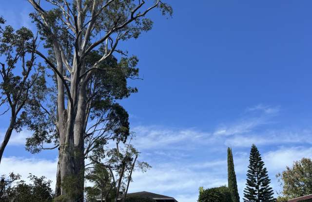 3655 Brewer Road - 3655 Brewer Road, Makawao, HI 96768