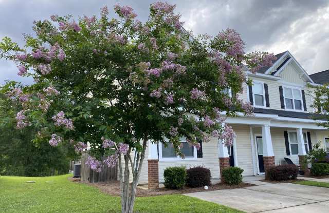 9073 Parlor Drive - 9073 Parlor Drive, Dorchester County, SC 29456