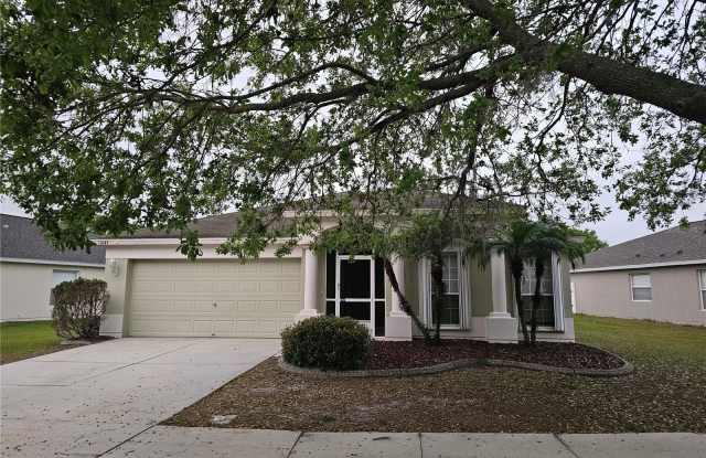 11647 TROPICAL ISLE LANE - 11647 Tropical Isle Lane, Riverview, FL 33579