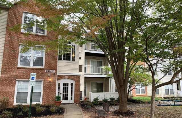 5135 WAGON SHED Circle unit: 5135 - 5135 Wagon Shed Circle, Owings Mills, MD 21117