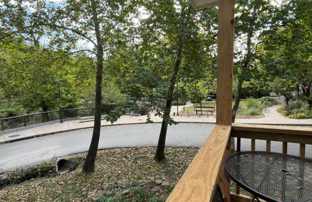 1 bedroom 1 bath townhome near campus and across from The Ramble Gallery 3