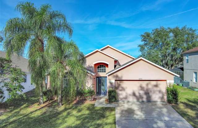 16741 RISING STAR DRIVE photos photos