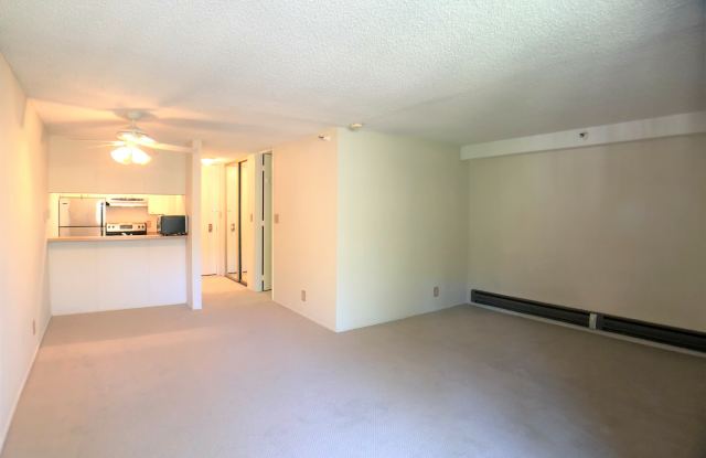 5332 Shelter Creek Lane Gallery 2