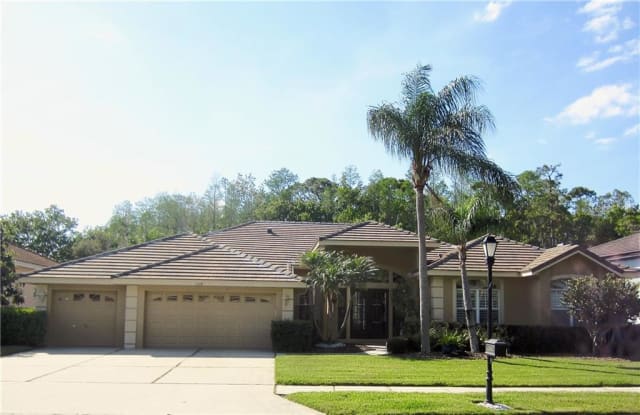 1538 LOCKMEADE PLACE - 1538 Lockmeade Place, East Lake, FL 34677