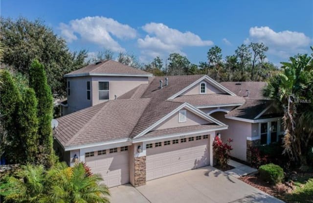 16312 Dorman Road - 16312 Dorman Road, Fish Hawk, FL 33547