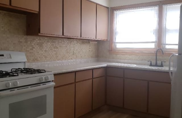 9104 Lamon - 9104 Lamon Avenue, Skokie, IL 60077