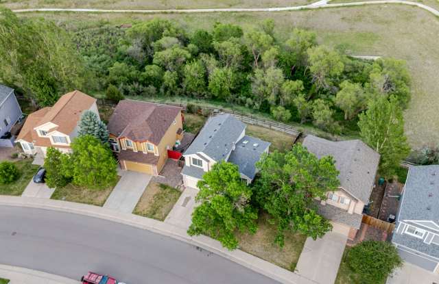 Remodeled Home in Cherry Creek School District Backs to Open Space photos photos