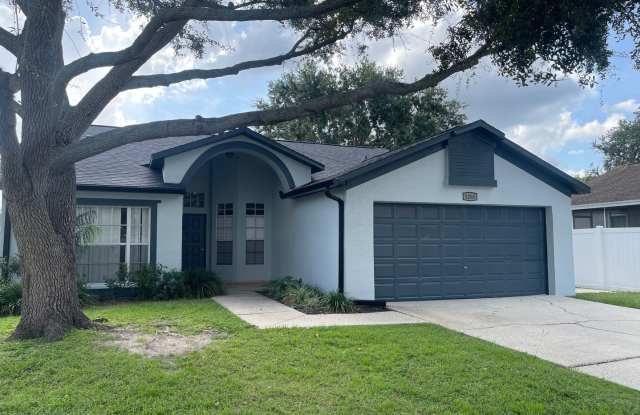 Quick Move in at this Brandon Home for Rent photos photos