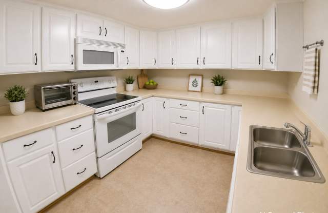Pet-Friendly + Off-Street Parking + Washer & Dryer! Available August 8th! photos photos