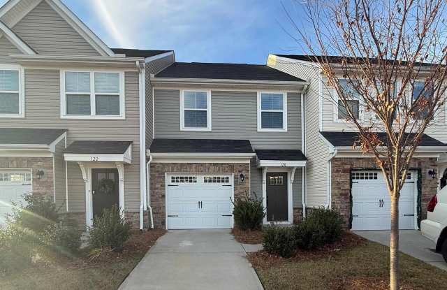 120 Carlow Court - 120 Carlow Court, Greenville County, SC 29680