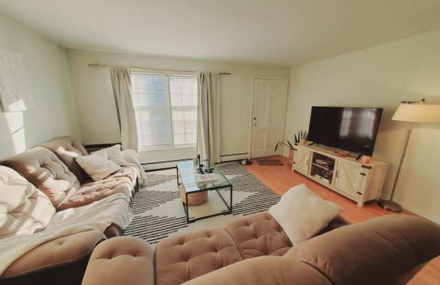 15 Elmwood Street Gallery 2