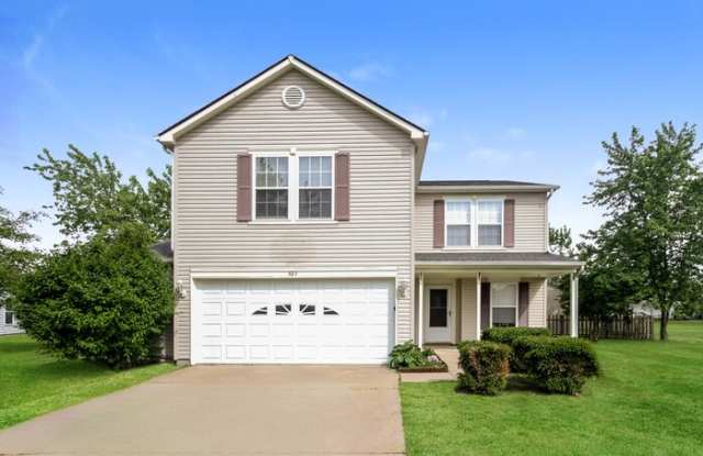 823 Runnymede Drive photos photos