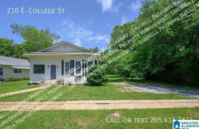 210 E COLLEGE STREET Gallery 1