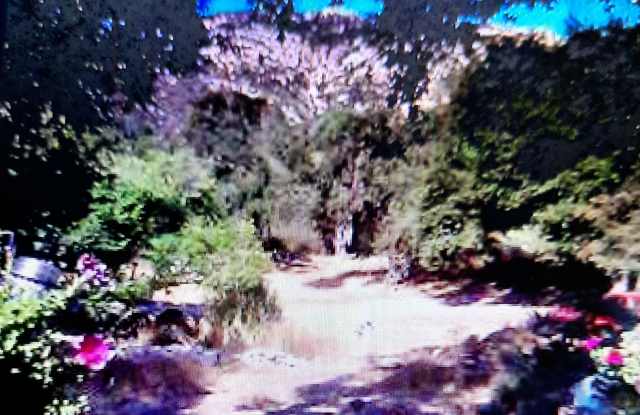 14519 Rios Canyon Rd Gallery 2