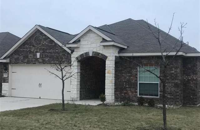 13412 Nelson Houser ST - 13412 Nelson Houser Street, Manor, TX 78653