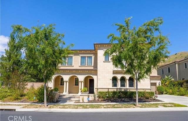 119 Nest Pine photos photos