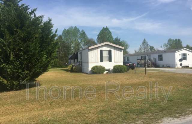 137 Matts Lane (6-A) - 137 Matts Lane, Edgecombe County, NC 27864