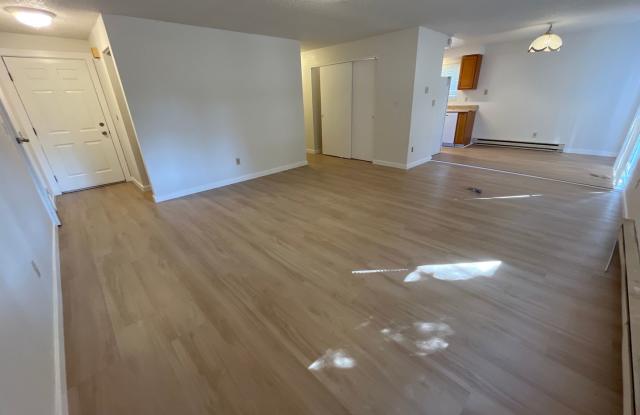 Updated 4 Bedroom 1 bathroom Home!!! Gallery 3