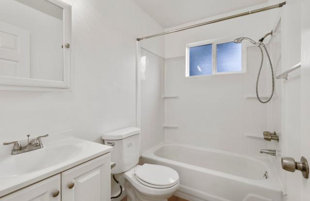 The Woods photos photos