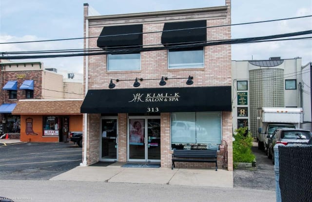 313 Main - Back Unit - 313 South Main Street, Rochester, MI 48307