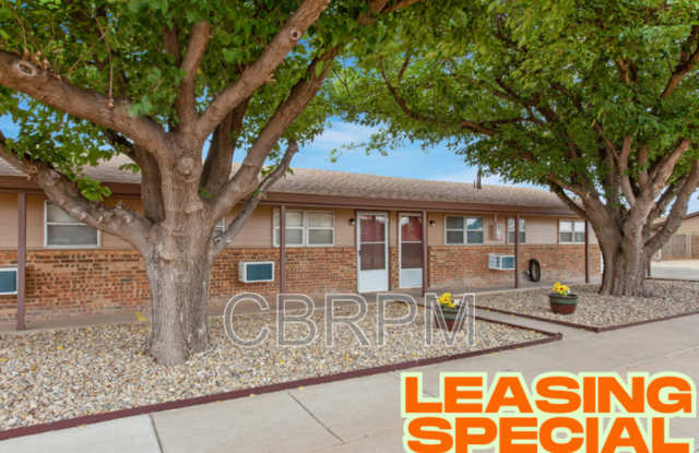 1305 53rd Street - 1305 53rd Street, Lubbock, TX 79412