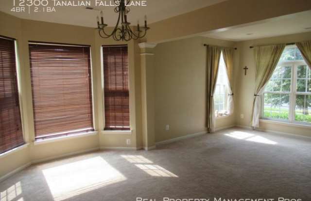 12300 Tanalian Falls Lane Gallery 2
