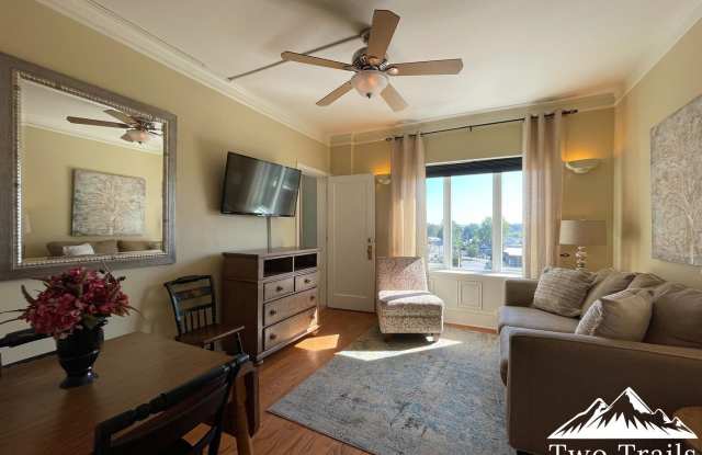 CHARMING FULLY FURNISHED DOWNTOWN CONDO Gallery 3