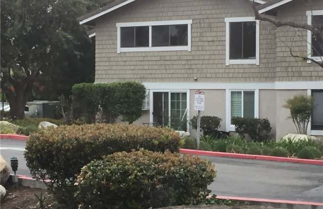 210 Springview Gallery 2