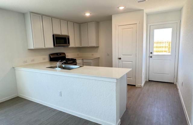 2303 Camellia Rose Gallery 3