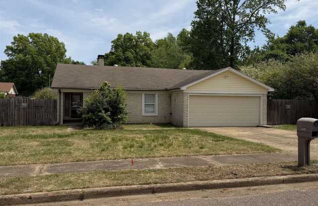 7016 PAM photos photos