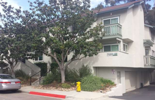 1 Bedroom - 1 Bathroom in beautiful Park Mesa Condos photos photos