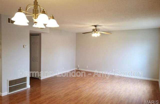 11120 Whitehall Manor Drive Gallery 2