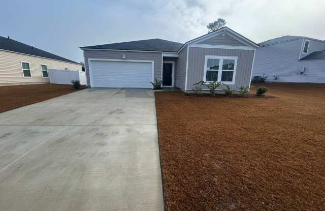 614 Culpeo Drive - 614 Culpeo Drive, Horry County, SC 29526