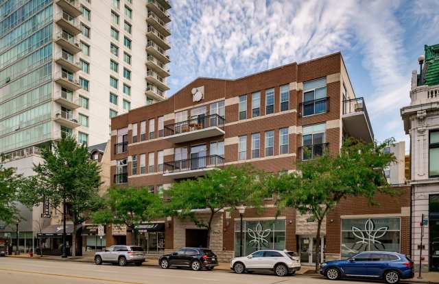 1919 S MICHIGAN Avenue Gallery 2