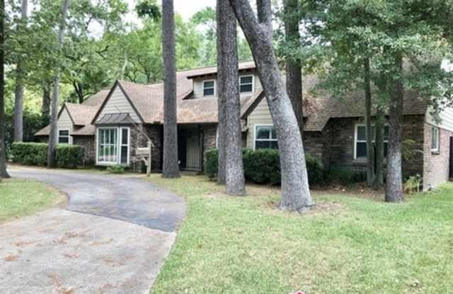 215 Chimney Rock Road - 215 Chimney Rock Road, Houston, TX 77024