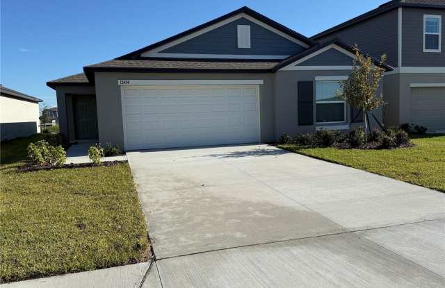 12434 RADIANT CRYSTAL ROSE PLACE - 12434 Radiant Crystal Rose Place, Manatee County, FL 34219