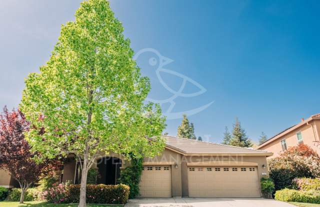 Desirable Lincoln Crossing Home | Walking Distance to Lincoln Crossing Elementary photos photos