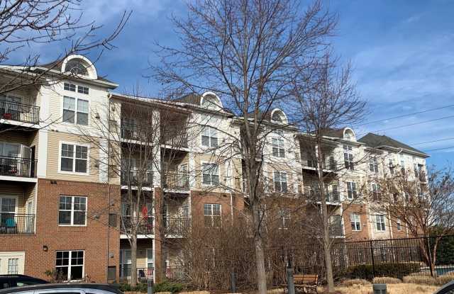 3840 LIGHTFOOT Street unit: 240 photos photos