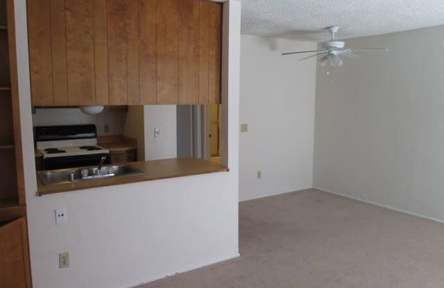 3682 Nile Street # 2 Gallery 2