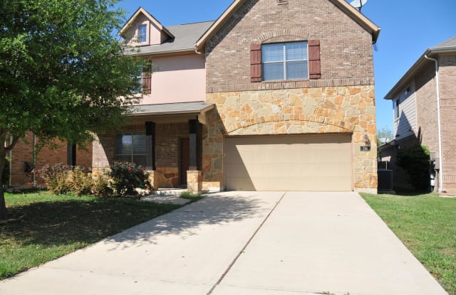 116 Morning Primrose Court - 116 Morning Primrose Cv, Austin, TX 78748