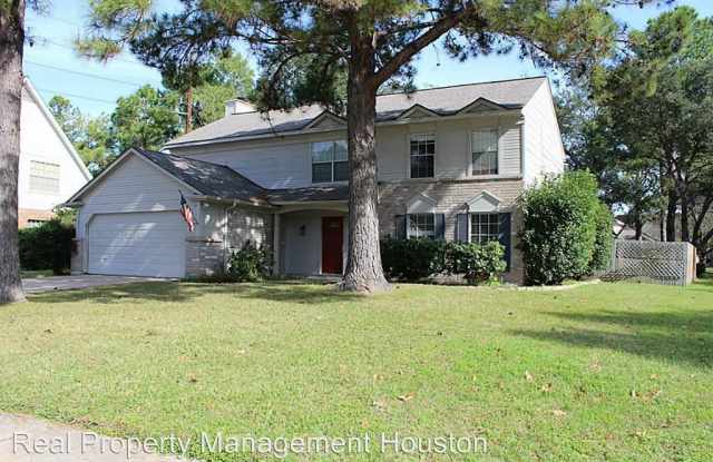 8502 Plum Lake Drive - 8502 Plum Lake Drive, Harris County, TX 77095