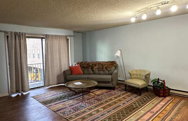 Two Bedroom One Bath Glenwood Springs Condo - 2015 Blake Avenue, Glenwood Springs, CO 81601