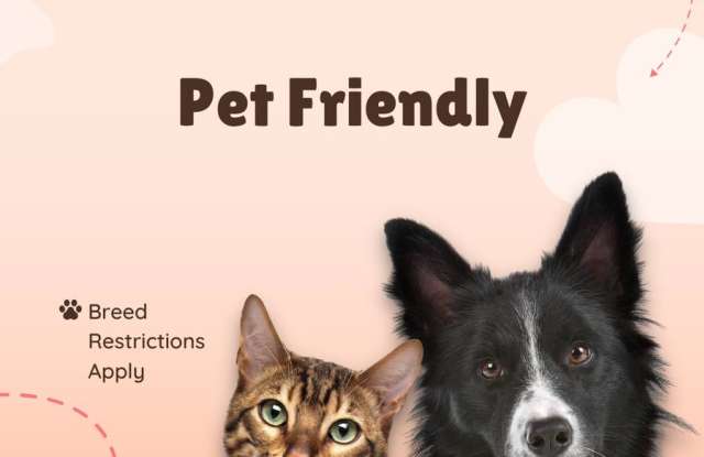 Live Oak photos photos