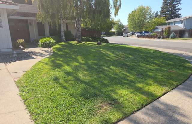 Spacious 5- Bedroom Home with Pool  Spa in Citrus Heights photos photos