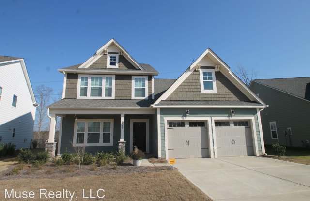 1348 Whistling Lane - 1348 Whistling Ln, York County, SC 29745