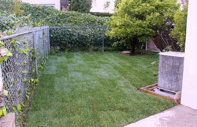 4812 Browndeer Lane Gallery 3